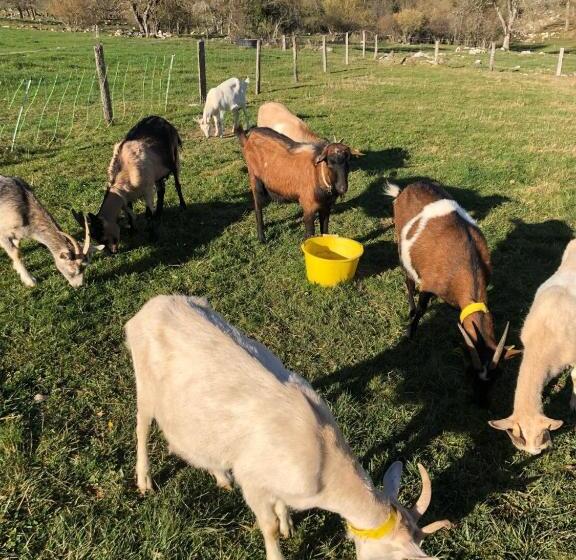 Пансион Gite A La Ferme