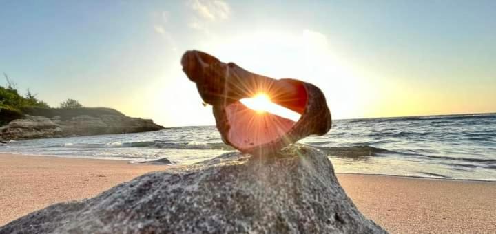 פנסיון Guest House Kostovi