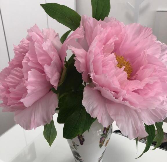 تختخواب و صبحانه La Casa Di Isabella Loreto