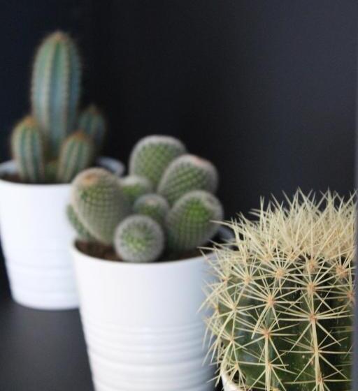 Bed and Breakfast Maison Caju La Rochelle