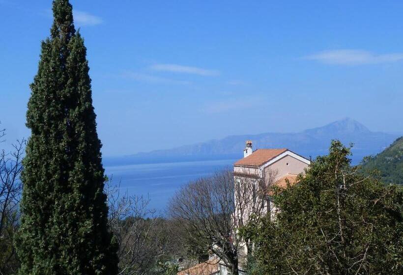 Casa Puccini B&b Maratea
