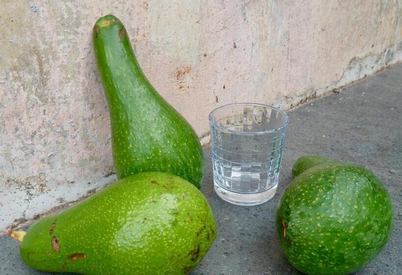 Casa Puccini B&b Maratea