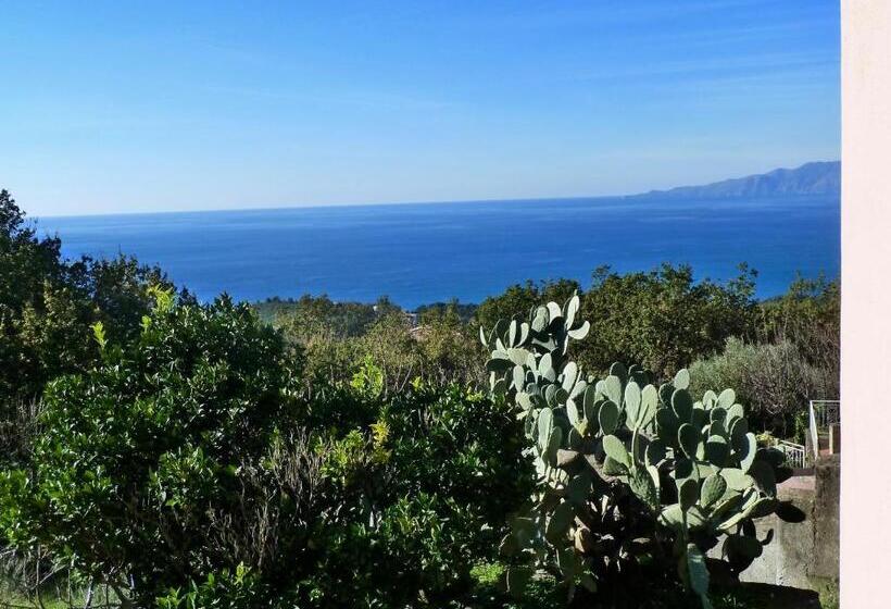 Casa Puccini B&b Maratea