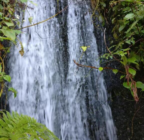 ホテル Flipsyde Retreat