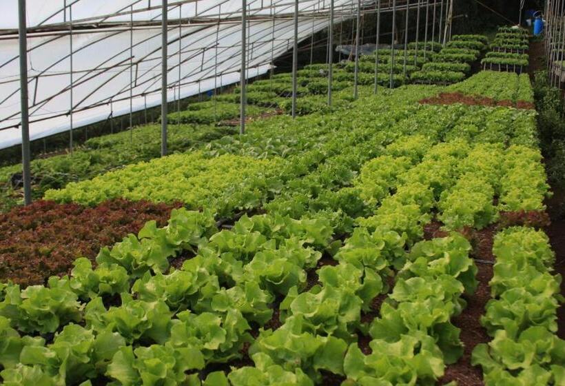 ホテル Los Pinos Cabins & Reserve