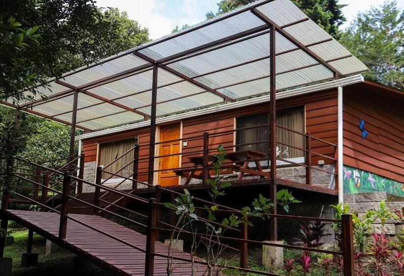 هتل Los Pinos Cabins & Reserve