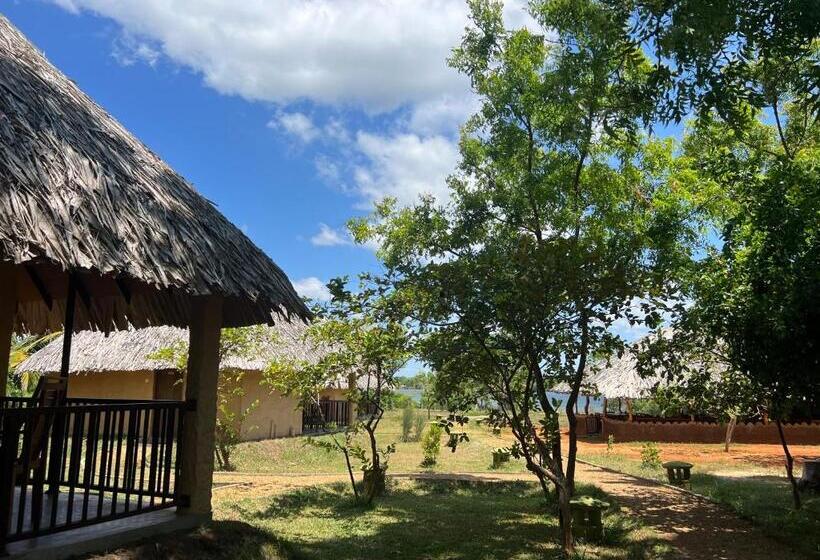 Отель Saffron Lake Yala