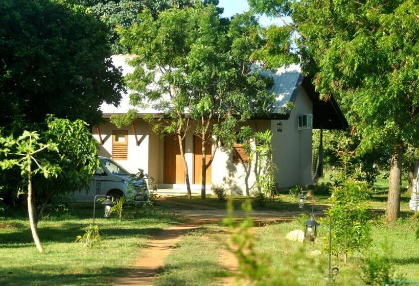 Отель Saffron Lake Yala