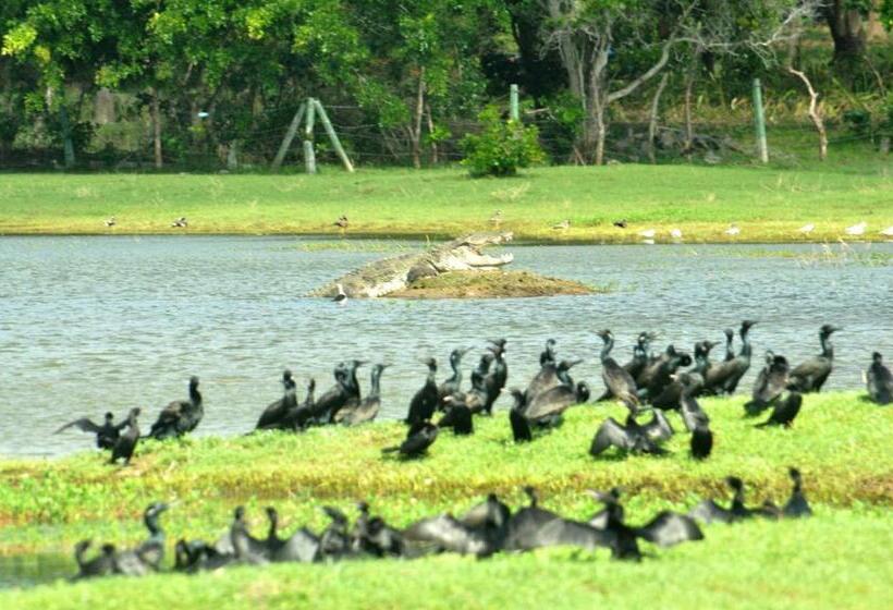 Отель Saffron Lake Yala