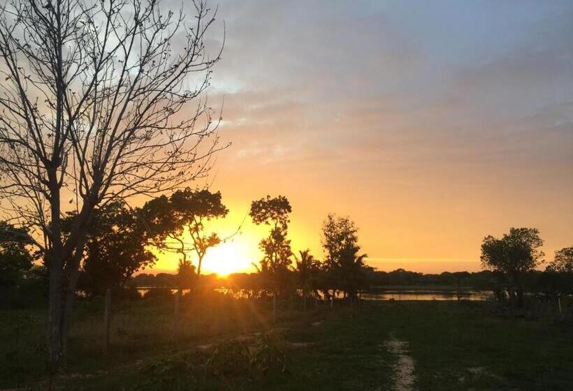 Отель Saffron Lake Yala