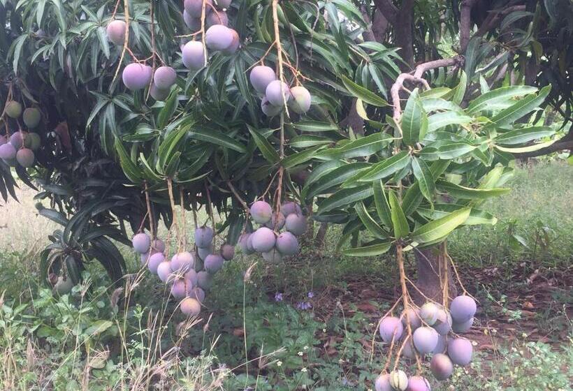 Отель Saffron Lake Yala