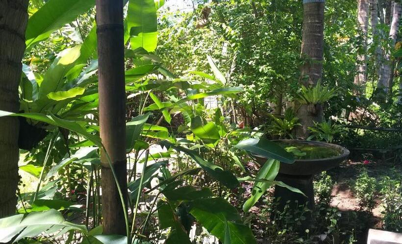 פנסיון Amed View Guesthouse