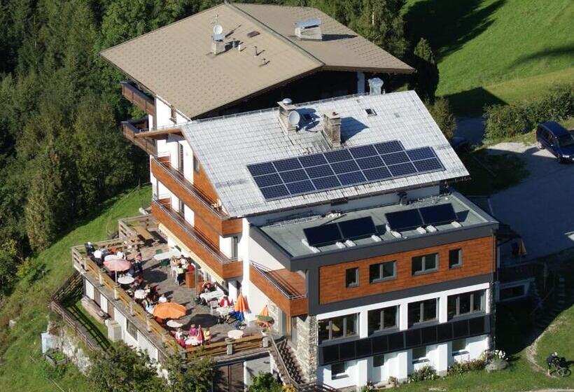 Пансион Berggasthaus Steinerkogl