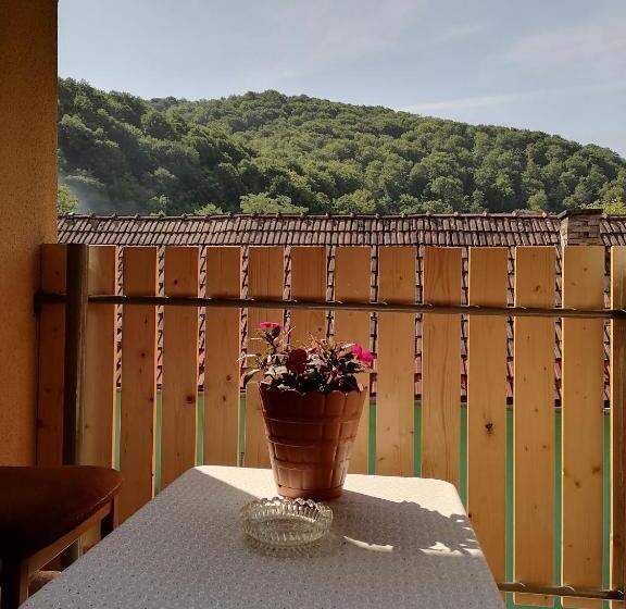 פנסיון Casă De Oaspeți Orso