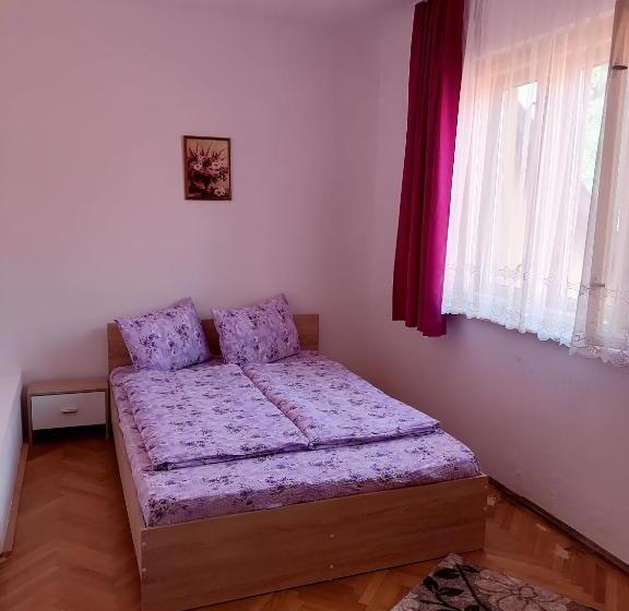 פנסיון Casă De Oaspeți Orso