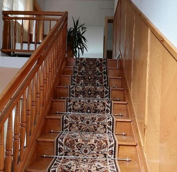 פנסיון Casă De Oaspeți Orso