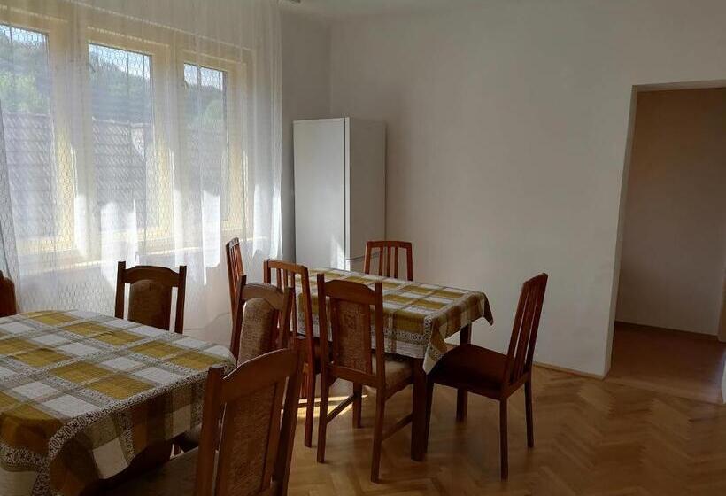 פנסיון Casă De Oaspeți Orso