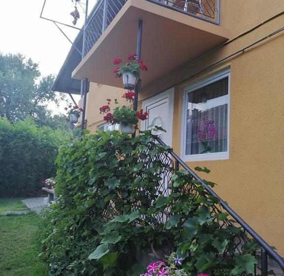 פנסיון Casă De Oaspeți Orso