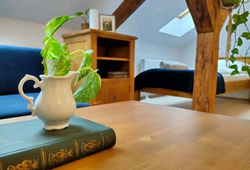 פנסיון Casa Dávid Ferenc Ház