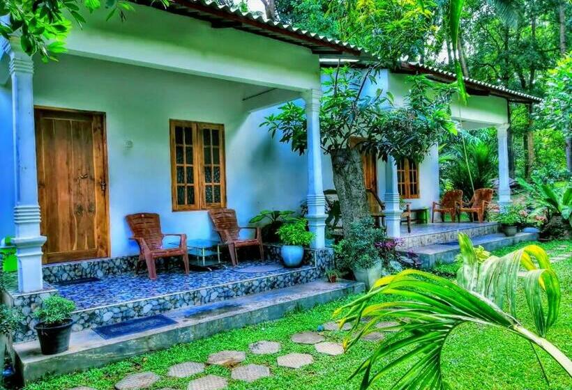 Пансион Dambulla Shan Inn