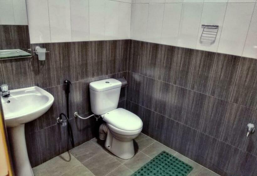 Пансион Dambulla Shan Inn