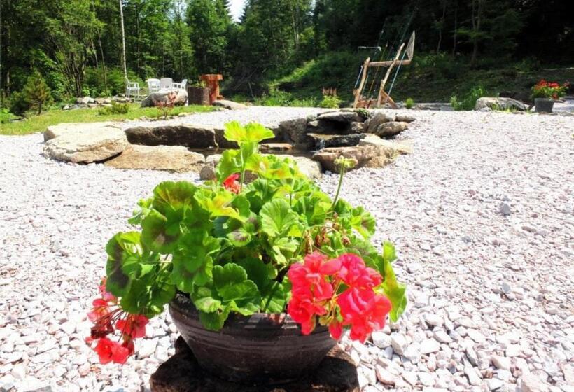 پانسیون Penzion & Restaurant Pod čerťákem