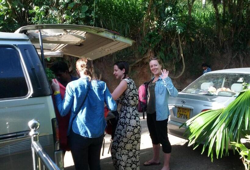 Общежитие Shrine Inn