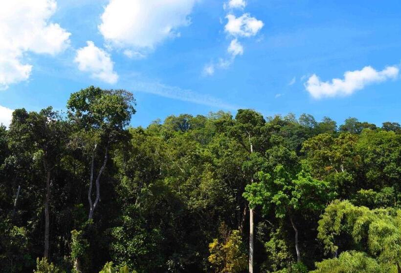 Общежитие Shrine Inn