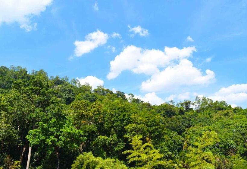 Общежитие Shrine Inn