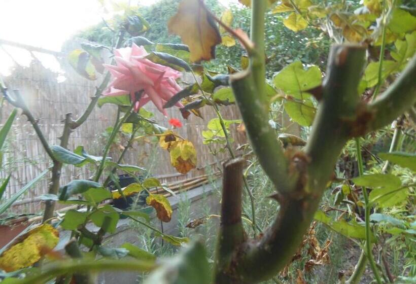 민박 Affittacamere Il Parco