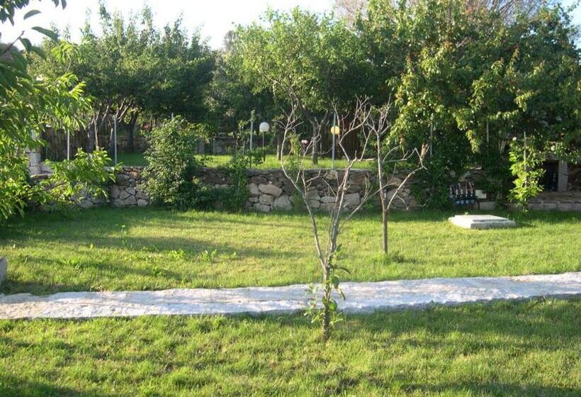 B&b Pettirosso Garden