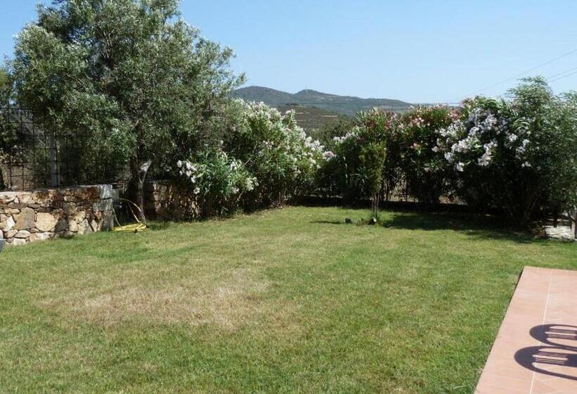 B&b Pettirosso Garden