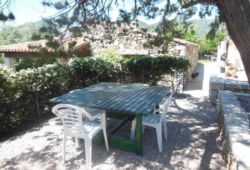 B&b Pettirosso Garden