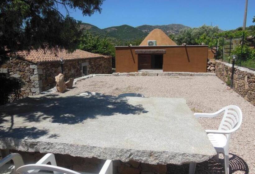 B&b Pettirosso Garden