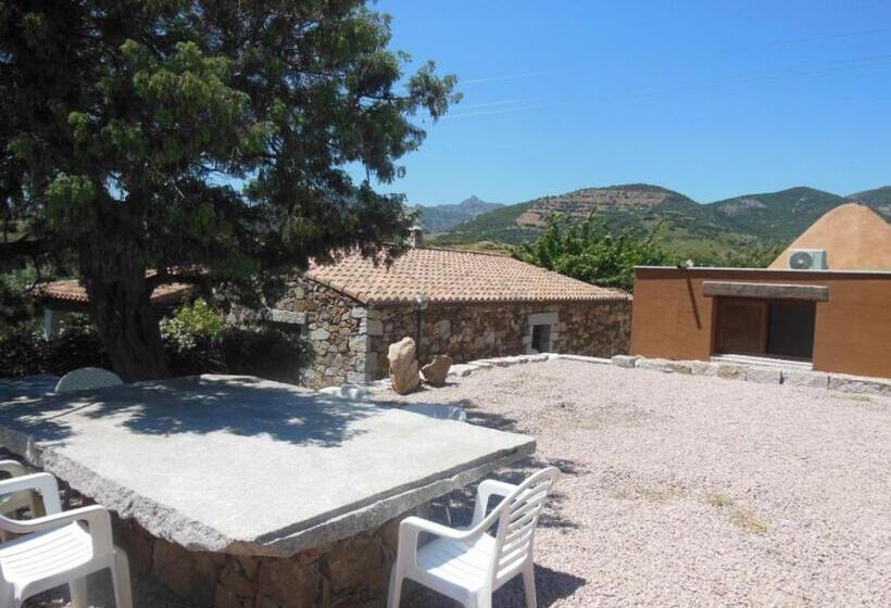 B&b Pettirosso Garden