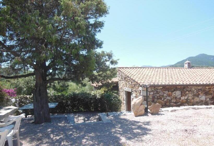 B&b Pettirosso Garden