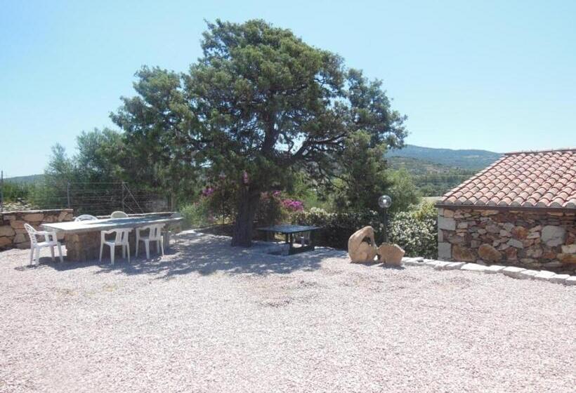 B&b Pettirosso Garden