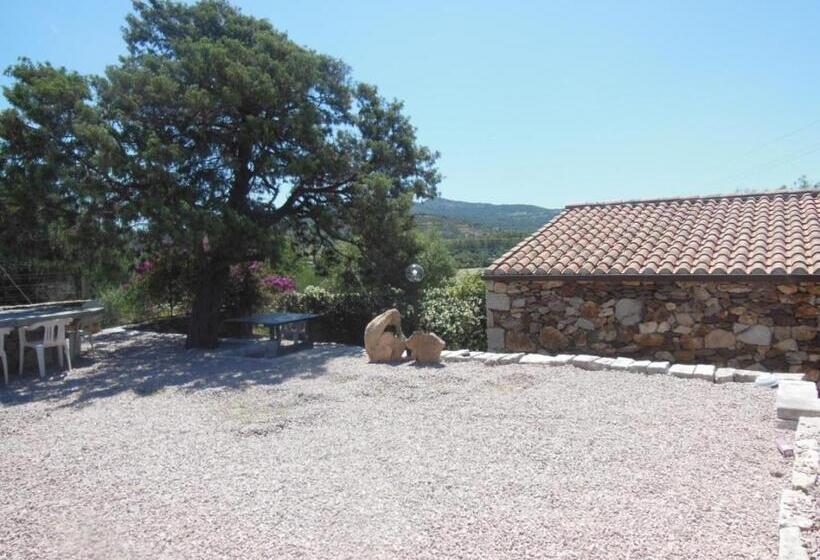 B&b Pettirosso Garden