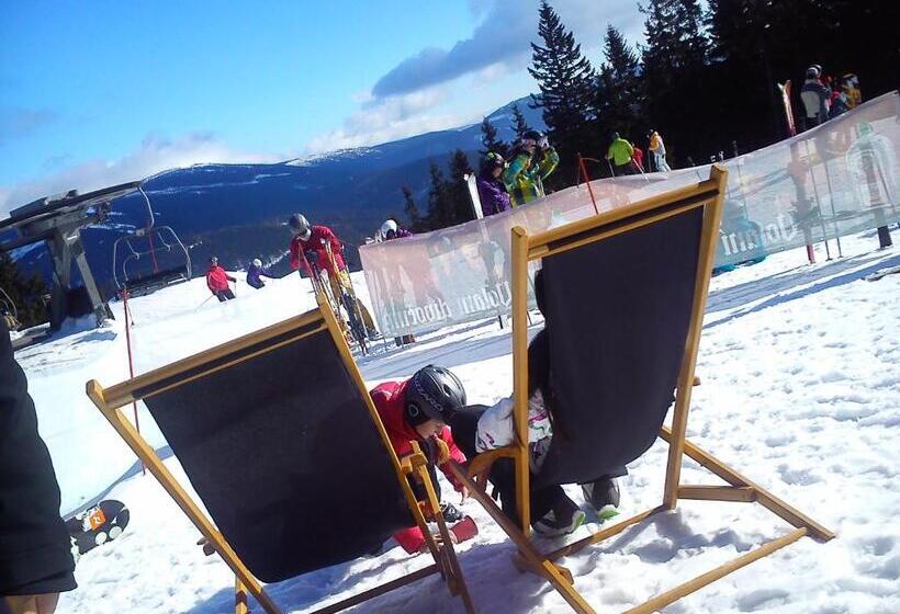 مبيت وإفطار Pension Arabela