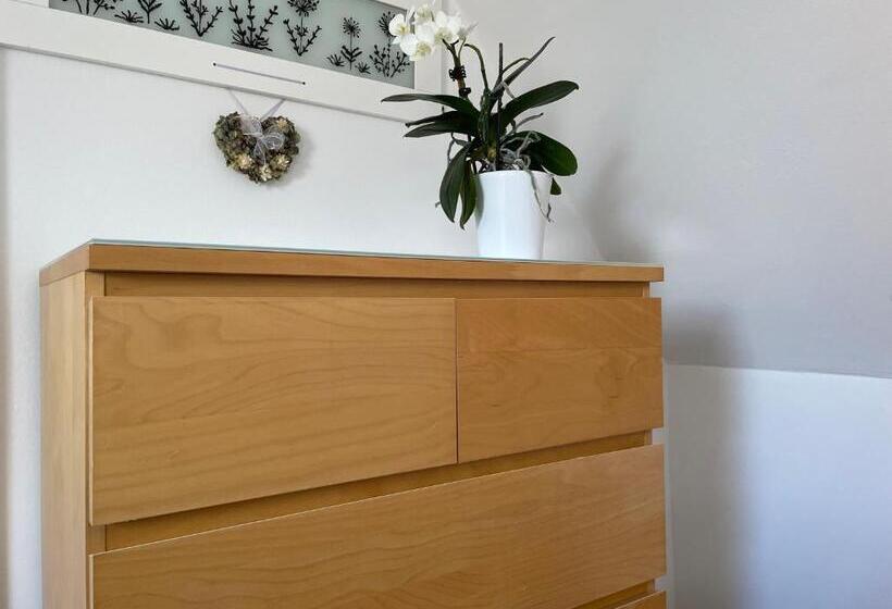 민박 Szentesi Panzió