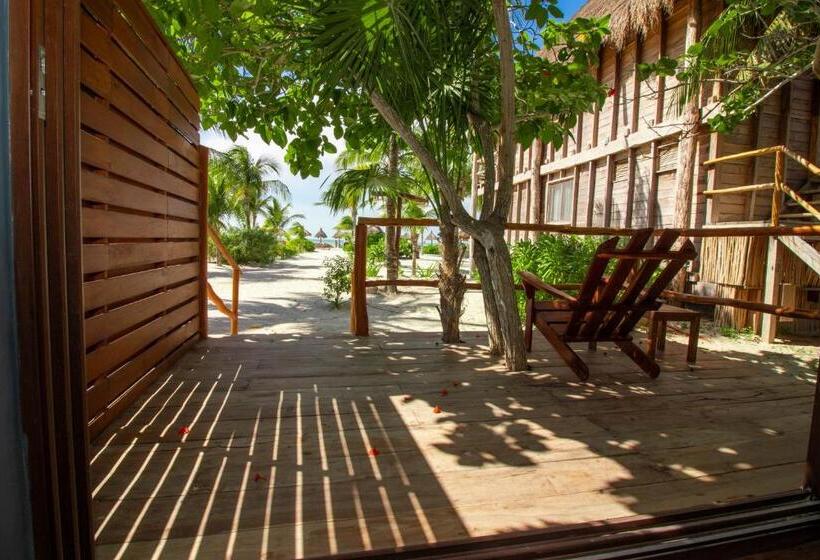 هتل Blue Holbox