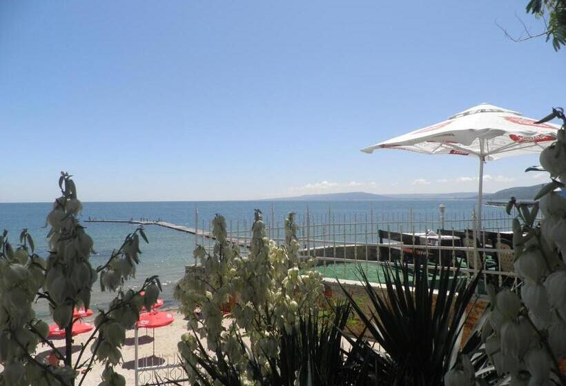 فندق Oasis   Beach Access