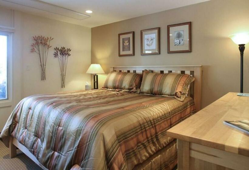 Lichenhearth Coraltree Residence Collection