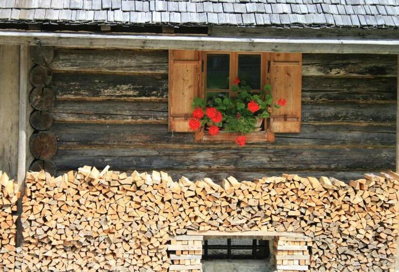 פנסיון Haus Hepi B&b