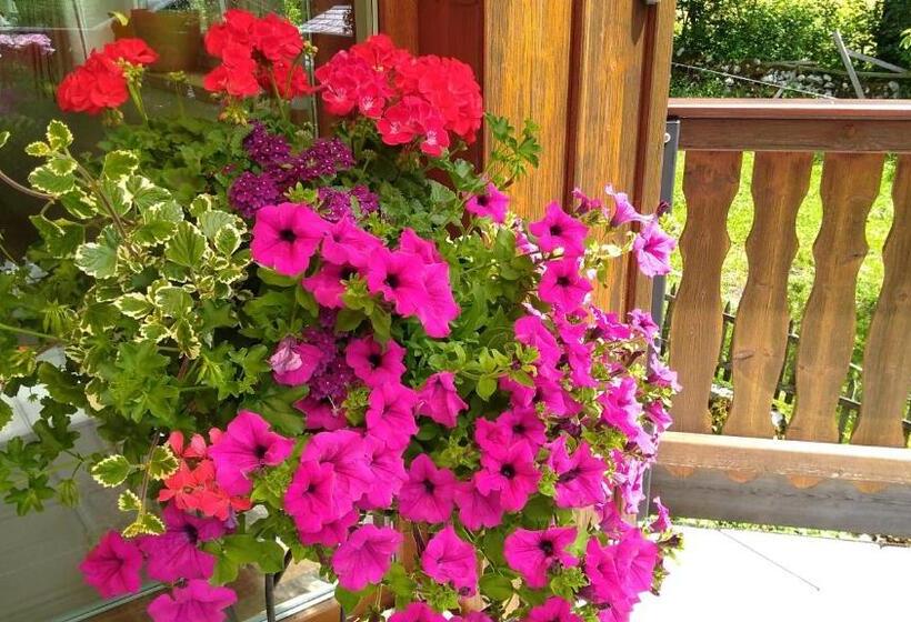 פנסיון Haus Hepi B&b