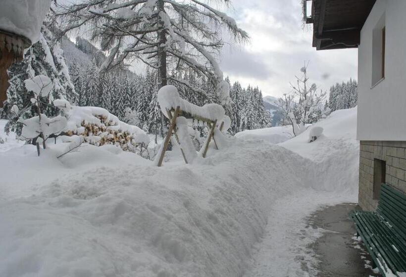 Пансион Haus Lärchenbrunn