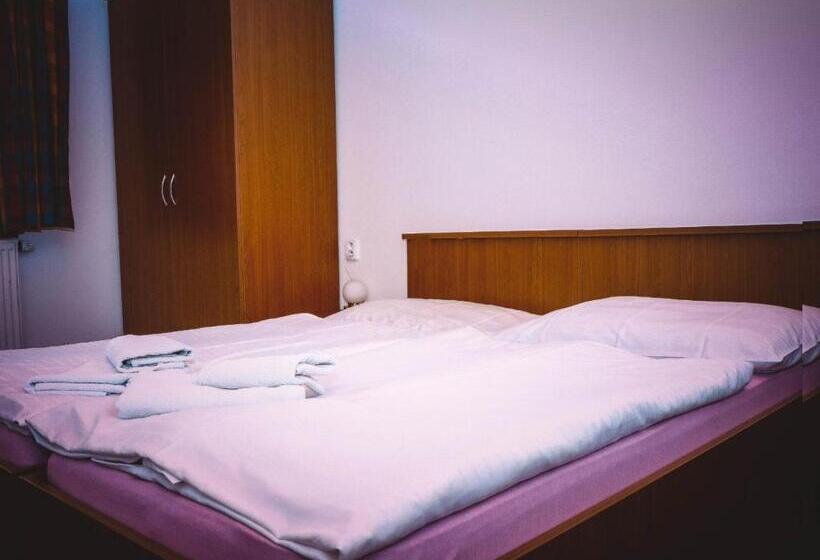 膳宿费 Penzion U Hajneho Bedricha