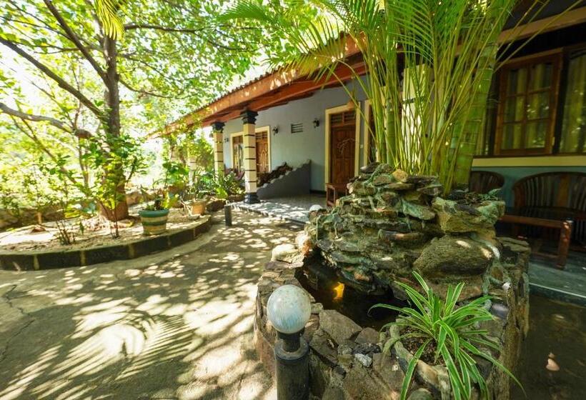 Pensão Sigiri Close Up View Guest