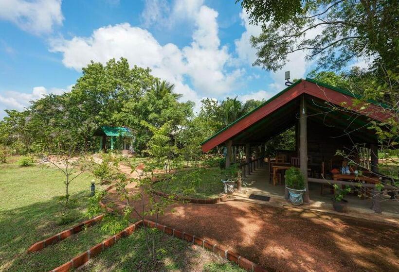 Pensionat Sigiri Close Up View Guest