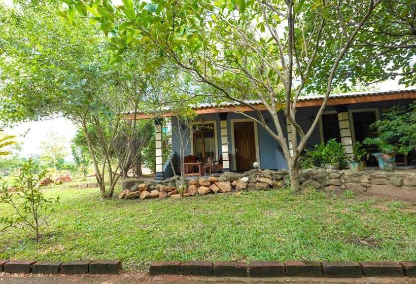 Pensionat Sigiri Close Up View Guest